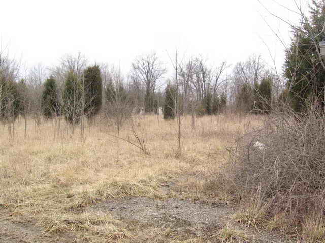 Lake Drive-In - 2006 Photo (newer photo)